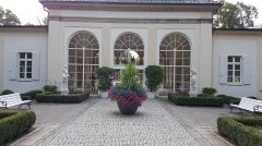 20180828_095225.jpg